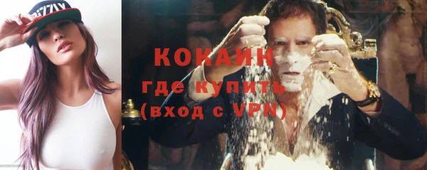 стаф Арсеньев