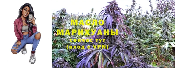 стаф Арсеньев