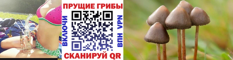 Галлюциногенные грибы ЛСД  Строитель 